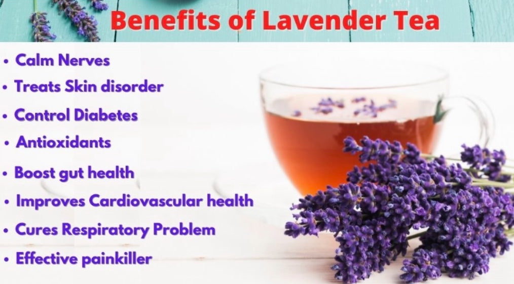 Culinary Lavender Flowers