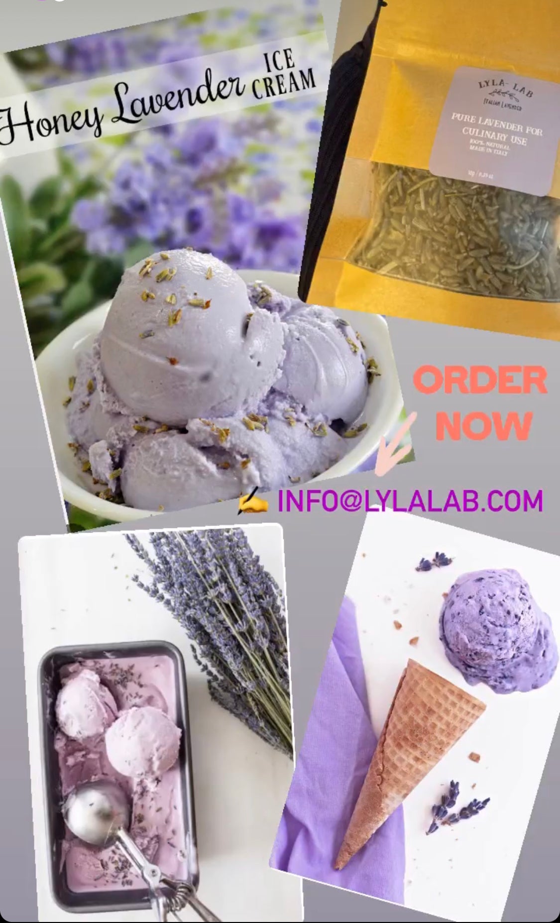 Culinary Lavender Flowers