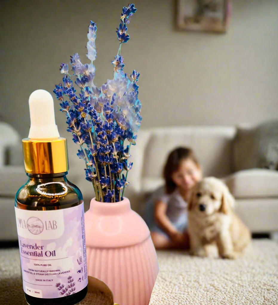 Lavender Essential Oil - 100% Natural. Pure, undiluted, and safe for topical use. Delicate Aroma