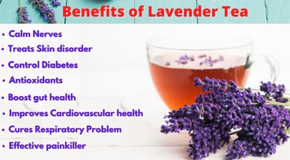 Culinary Lavender Flowers