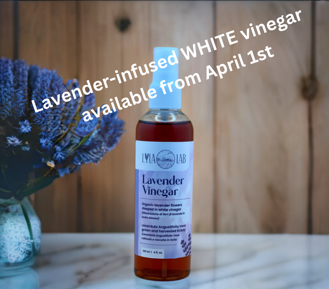 Lavender Vinegar