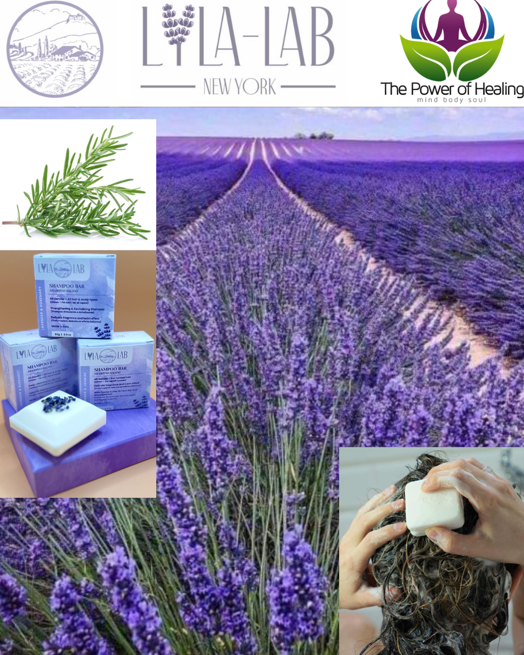 Lavender Bliss Gift Set