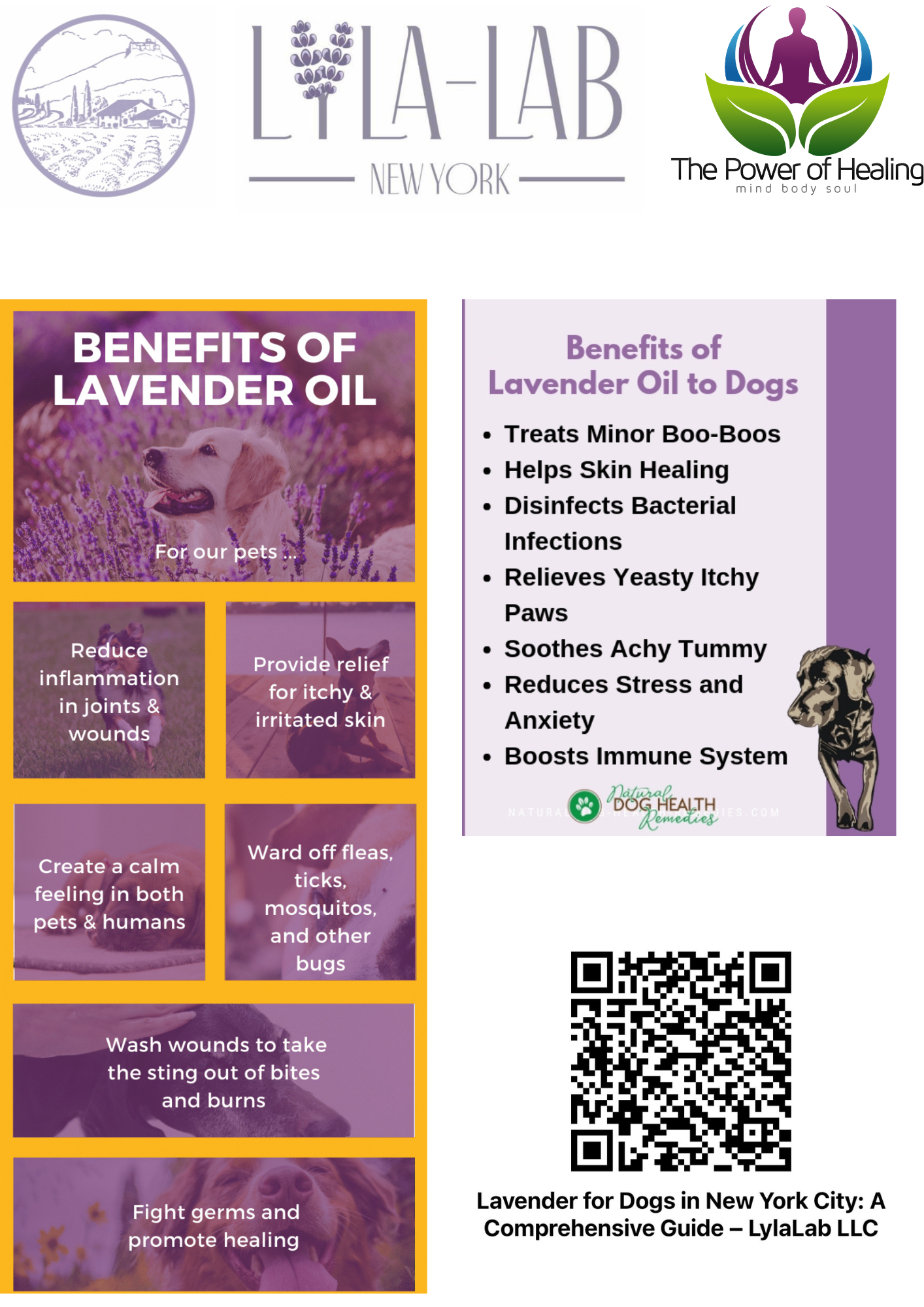 Lavender Essential Oil - 100% Pure and Natural