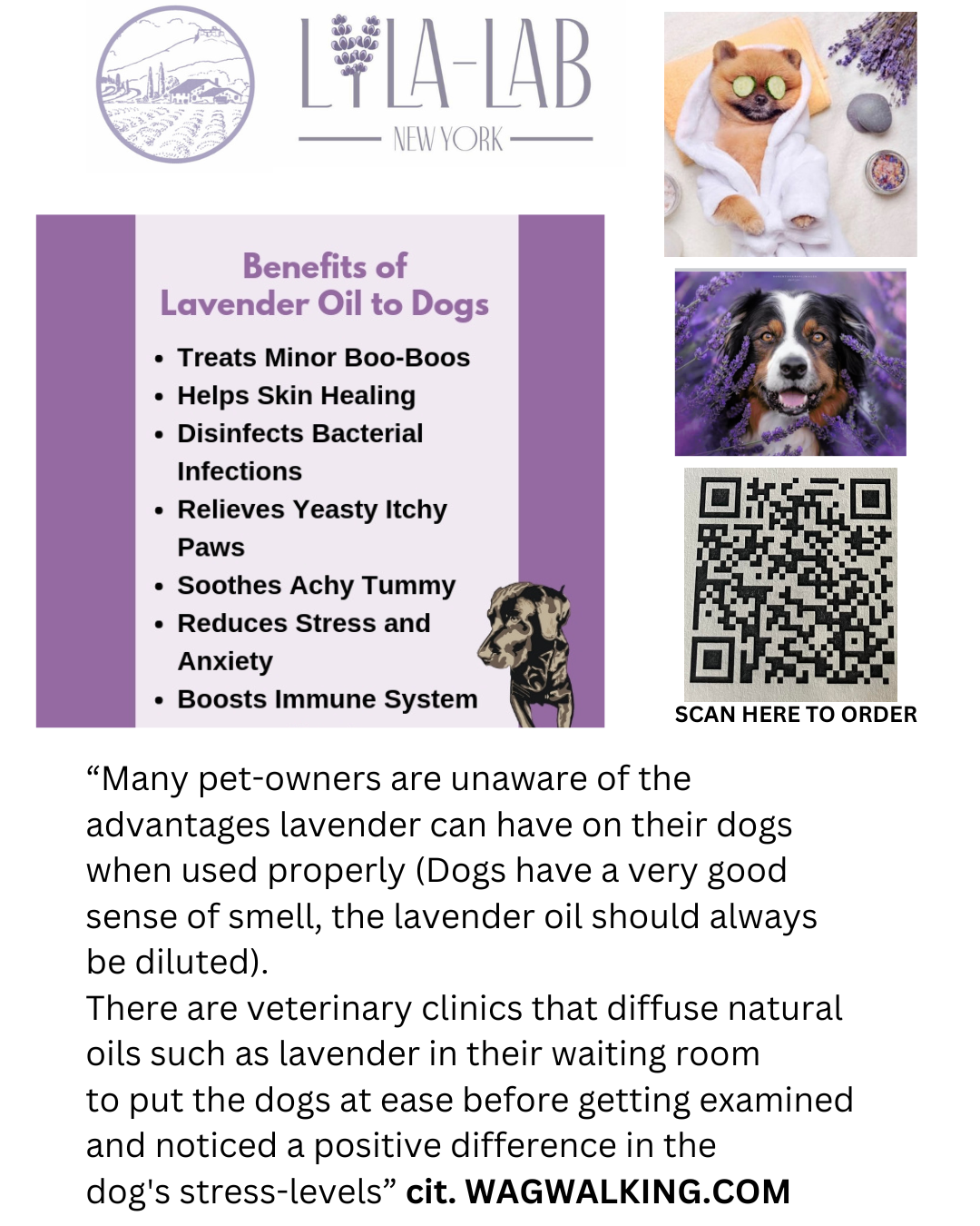 Lavender Essential Oil - 100% Pure (=undiluted), safe, topical use, delicate Aroma